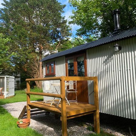 Lilliput - Delightful 1-Bedroom Shepherd'S Hut Холсуърти Екстериор снимка